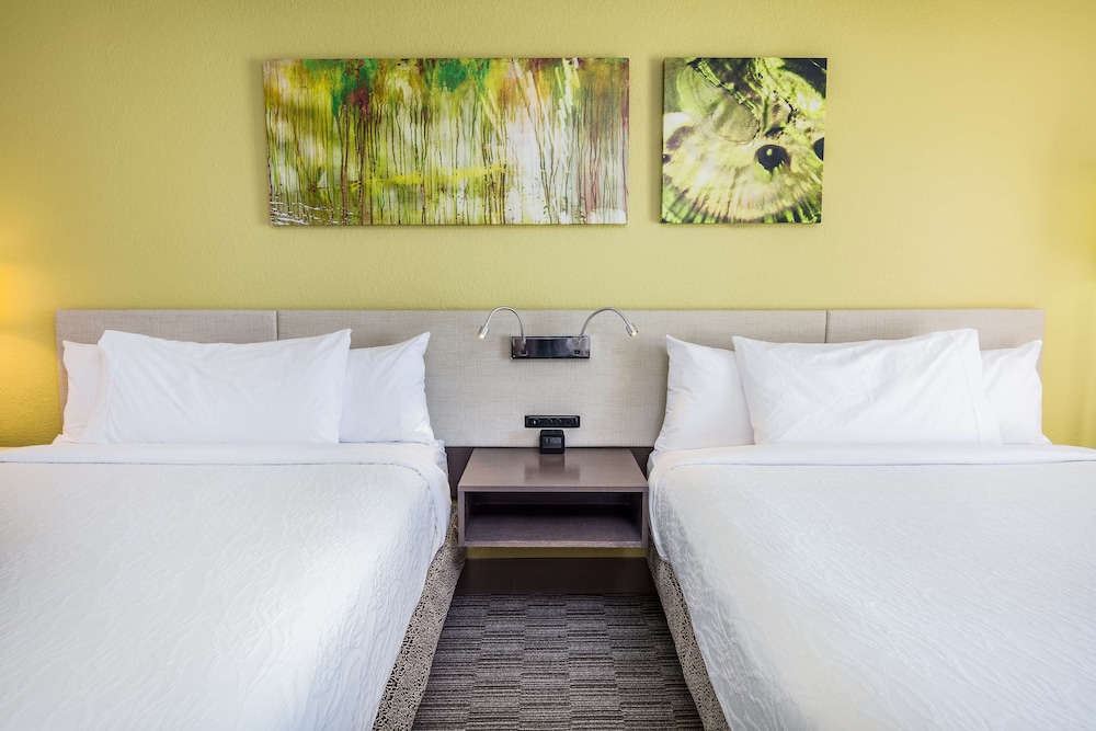 Hilton Garden Inn Orange Beach Beachfront - photo 29