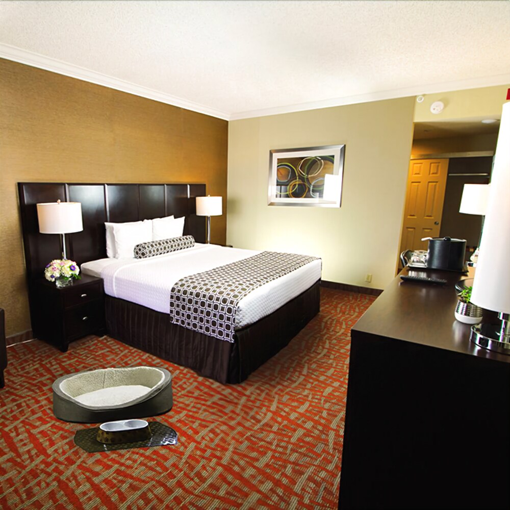 The Hotel Fullerton Anaheim - photo 21