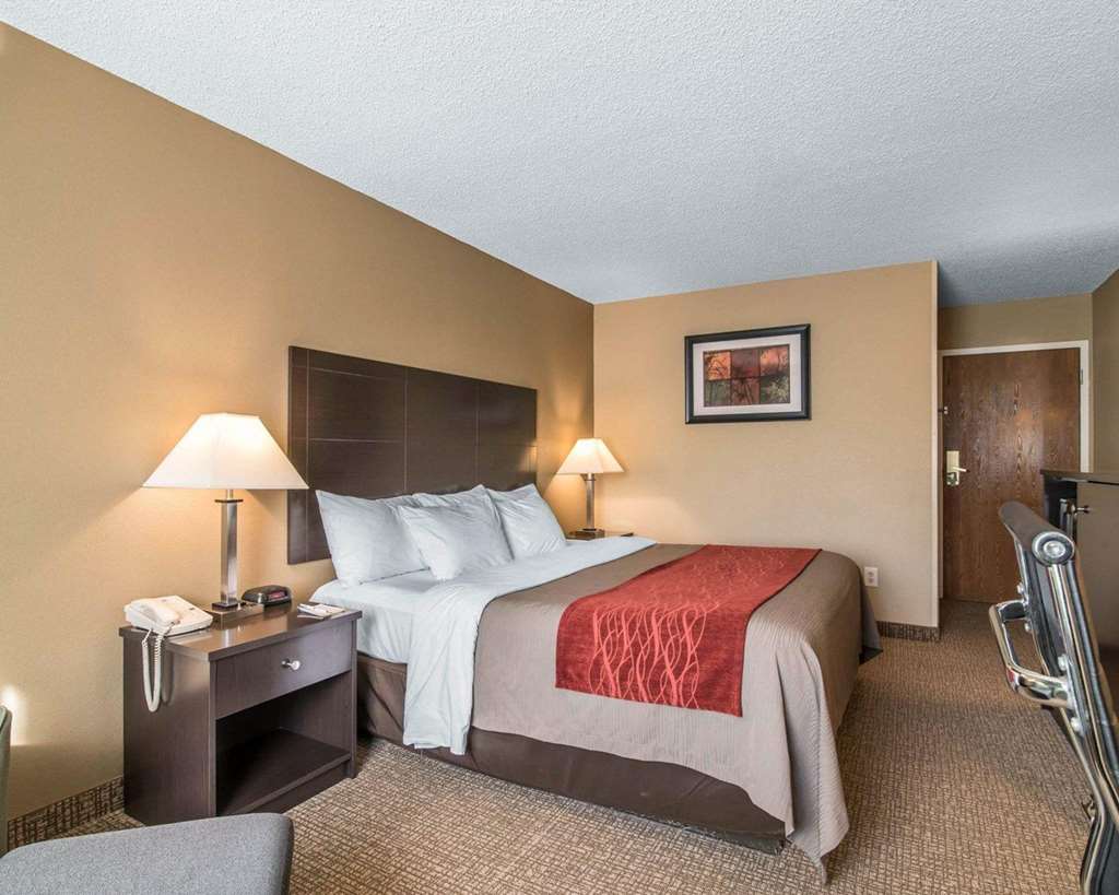 Comfort Inn Saugerties - photo 13
