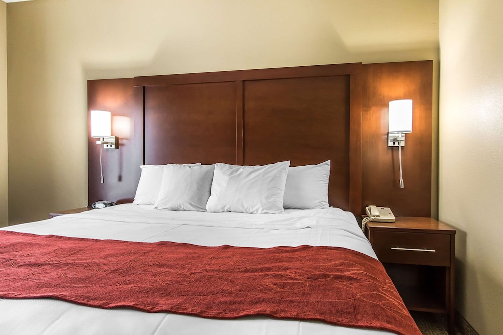 Comfort Suites Effingham Central - photo 8