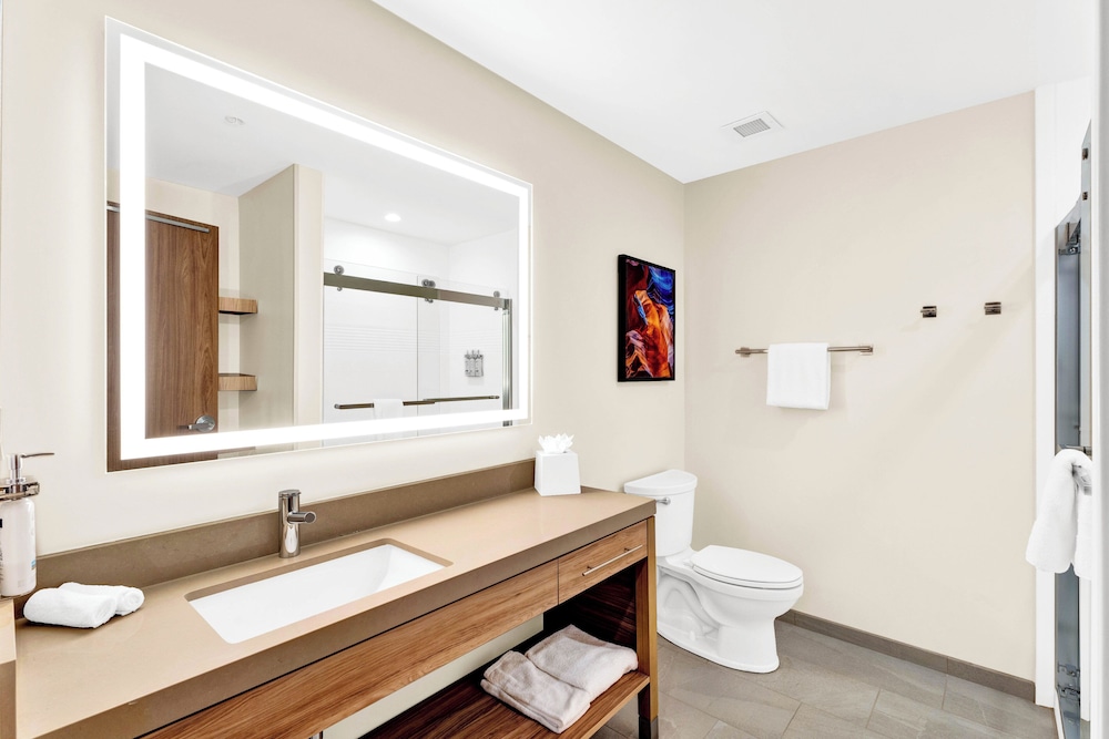 Candlewood Suites Detroit Auburn Hills by IHG - photo 65