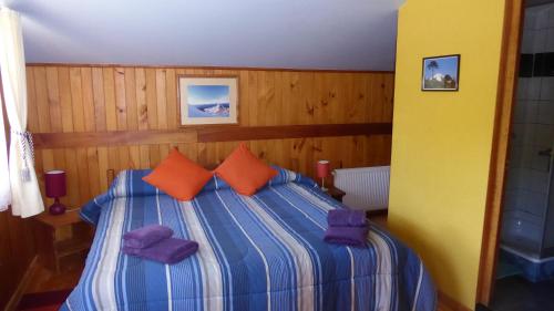 Andenrose in Unknown City, Chile