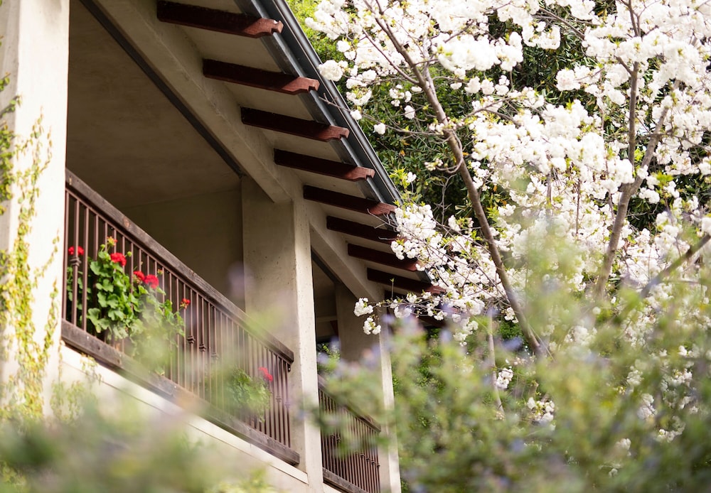 Appellation Lodi Wine & Roses Resort & Spa - photo 42