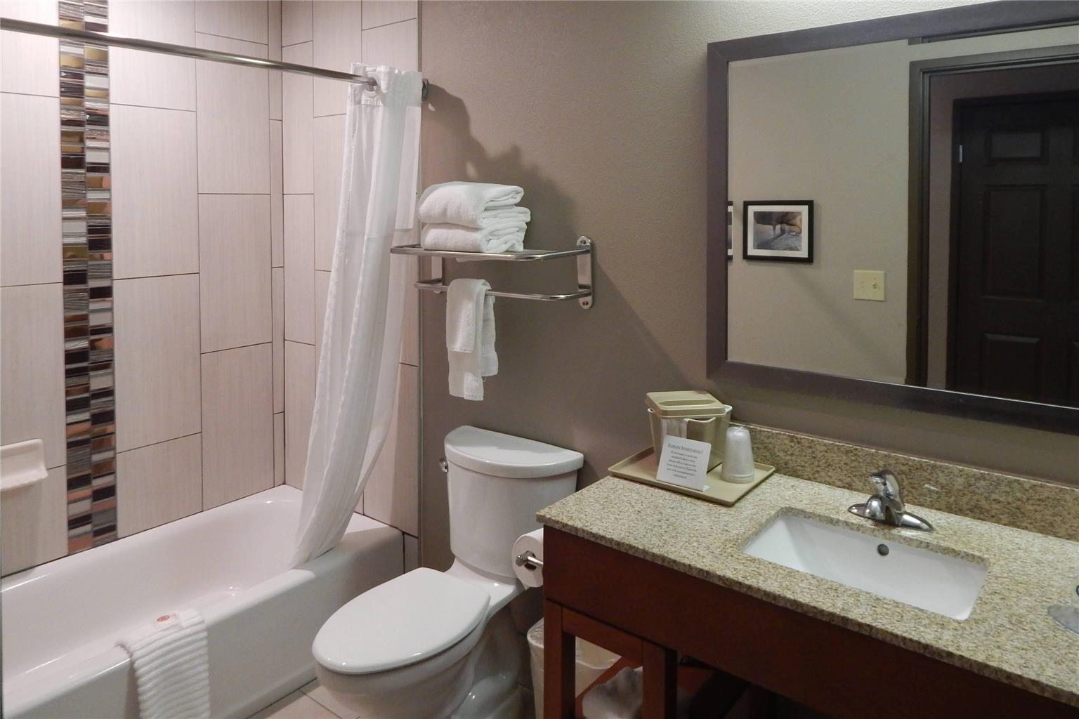 Comfort Inn & Suites Las Cruces Mesilla - photo 7