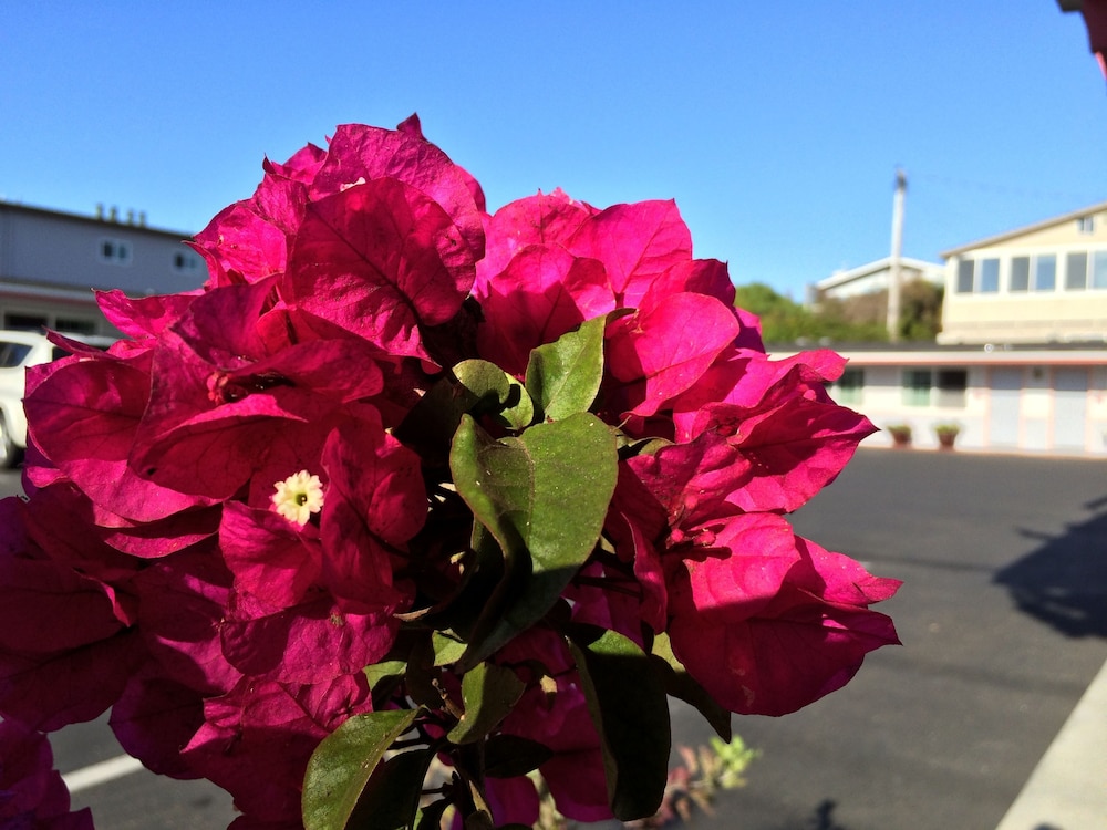 Sundown Inn - photo 41