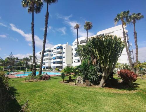 Step To Yumbo by Casas Cocodrilo in Playa Del Ingles, Spain