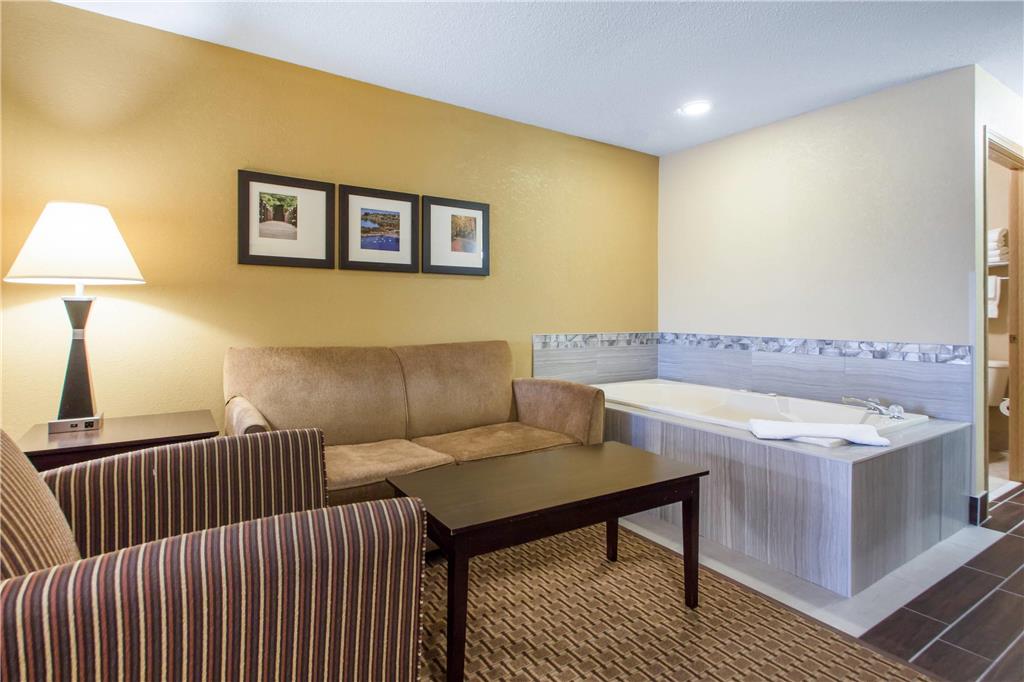 Comfort Suites Wisconsin Dells Area - photo 37