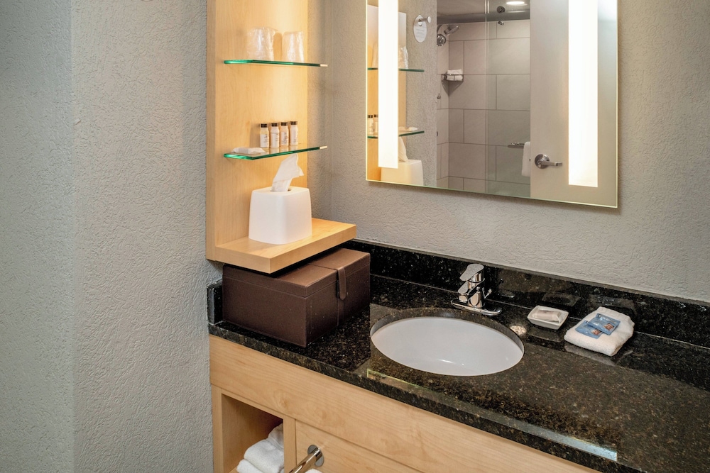 Delta Hotels by Marriott Huntington Downtown - photo 16