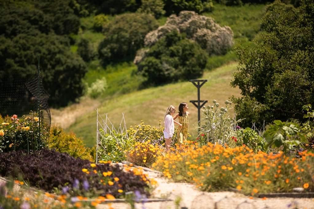 Carmel Valley Ranch in The Unbound Collection by Hyatt - photo 2