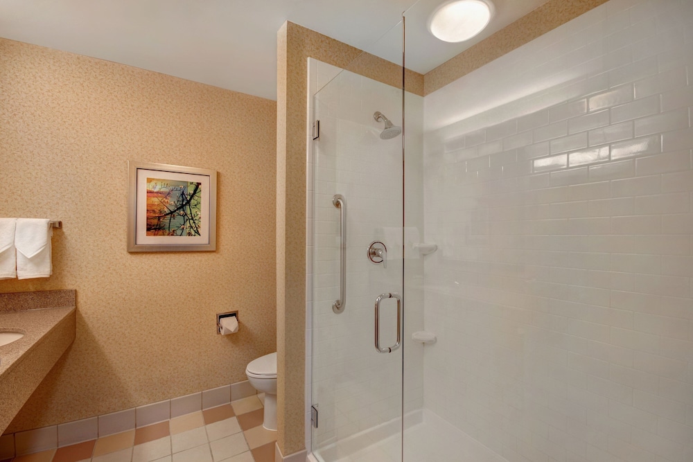 Fairfield Inn & Suites by Marriott Detroit Metro Airport Romulus - photo 14