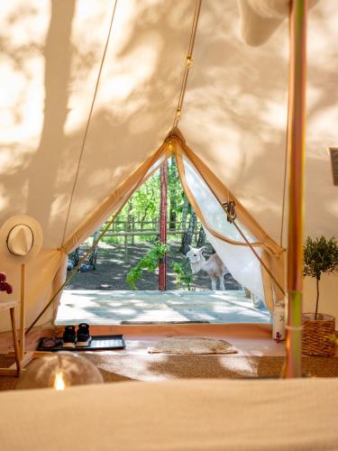 Glamping Visingsö — Unknown City — photo 2