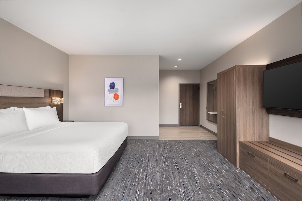 Holiday Inn Express & Suites Buford Mall of Georgia by IHG - photo 15