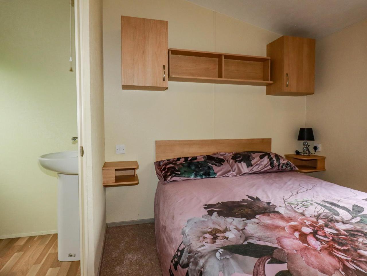 Night Sky Delight in Launceston, United Kingdom