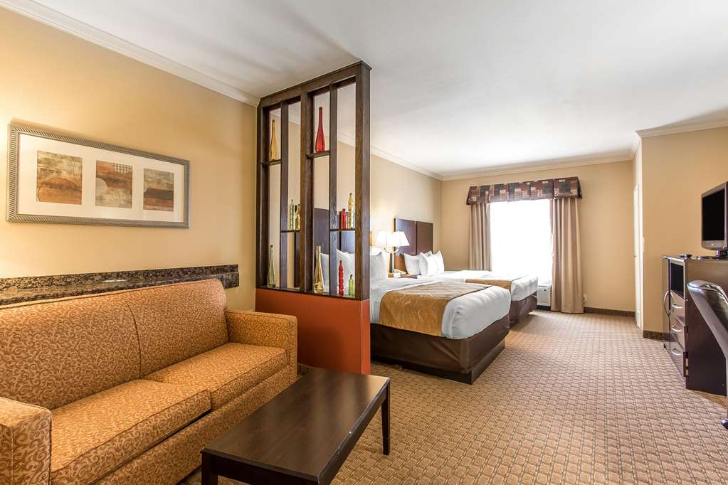 Comfort Suites Lawton Near Fort Sill - photo 13