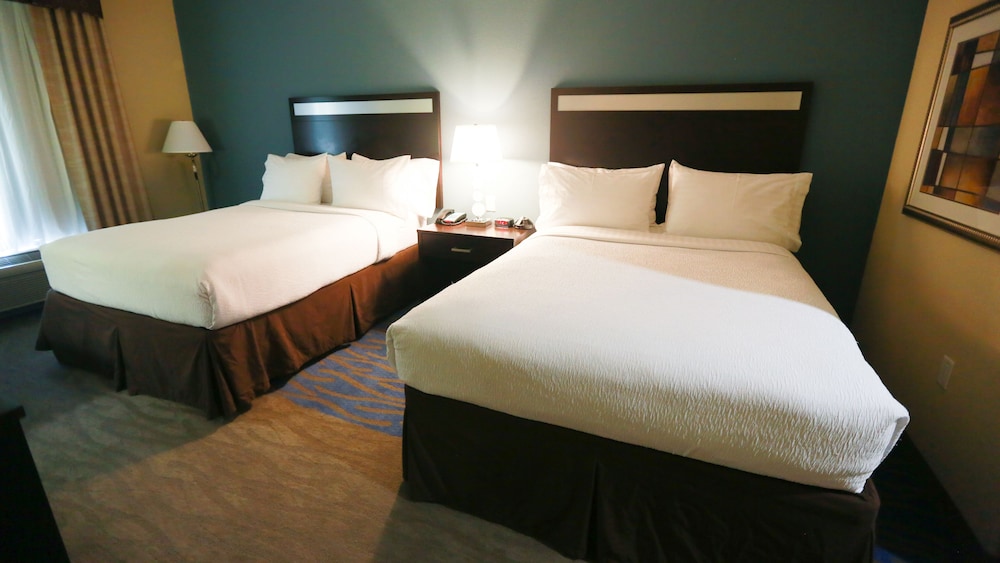 Holiday Inn Houston Webster by IHG - photo 12