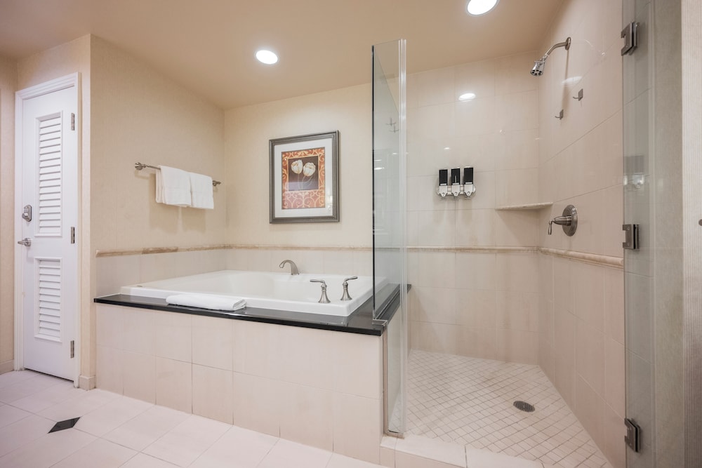 StripViewSuites at Signature - photo 225