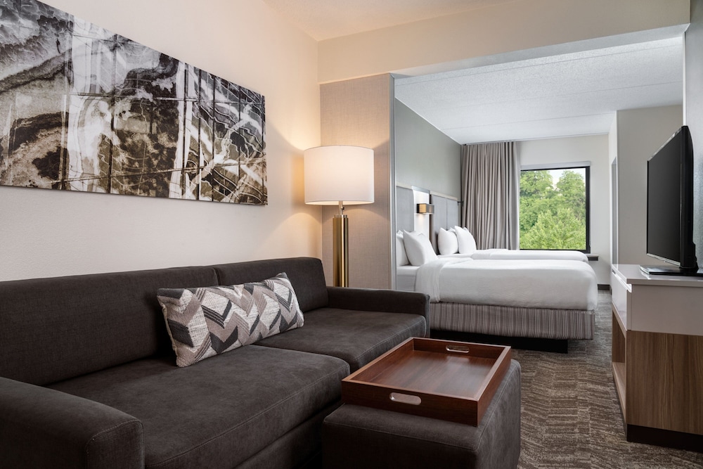 SpringHill Suites by Marriott West Mifflin - photo 7