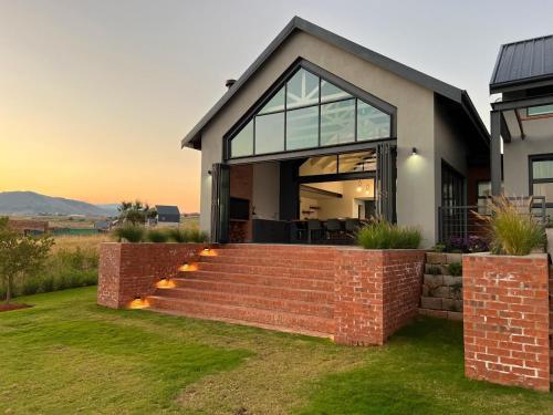 Bald Ibis in Unknown City, South Africa