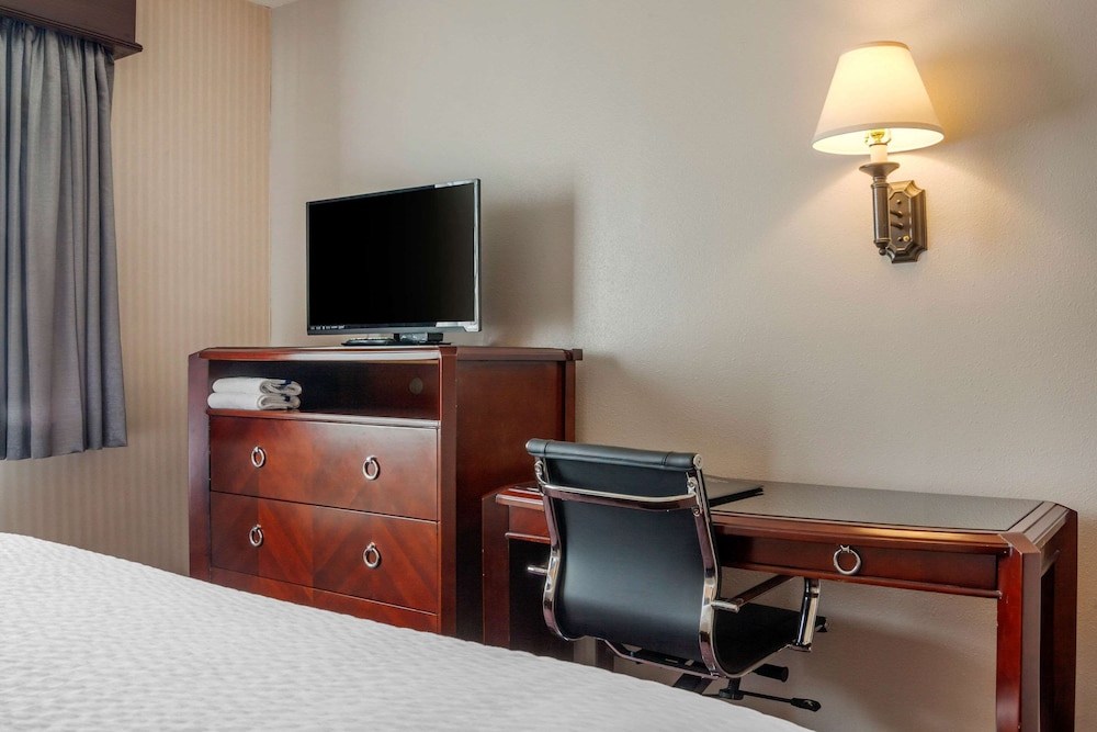 Wintergreen Hotel & Conference Center - photo 40