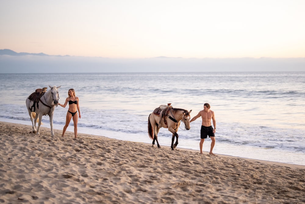 Horseback riding