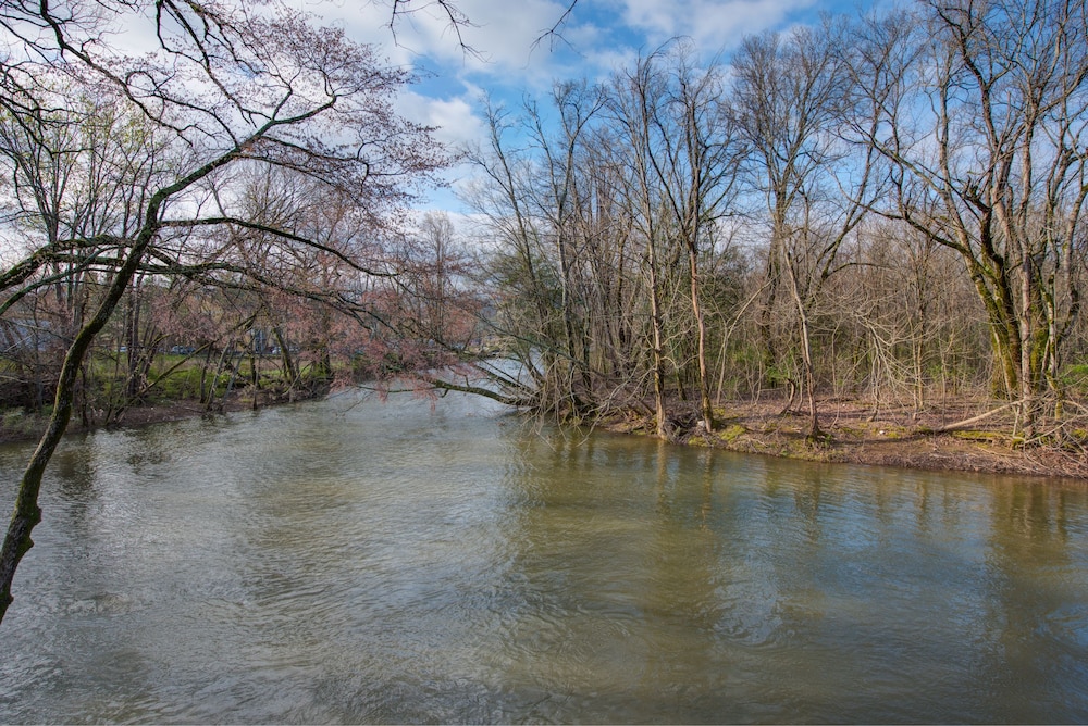 River Bend Inn - photo 44