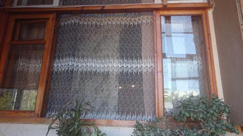 Grandma`s Hotel