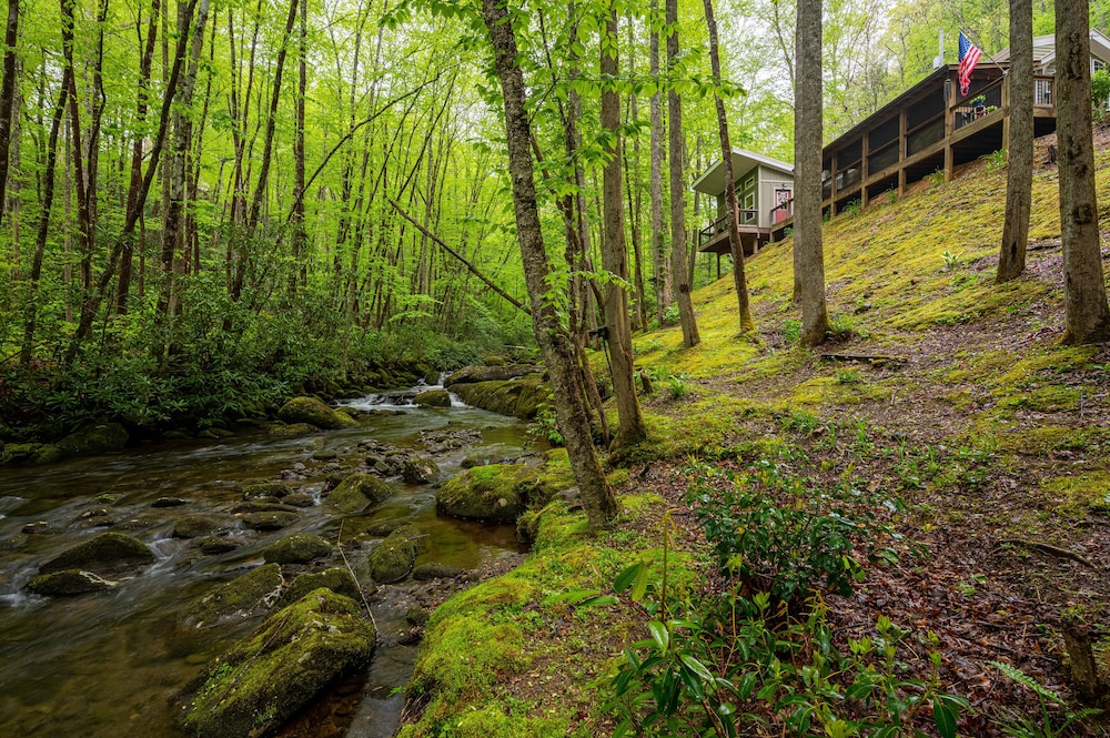 The Owl's Perch - photo 20