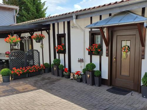 Ferienhaus Müller - last minute hotel in Benneckenstein