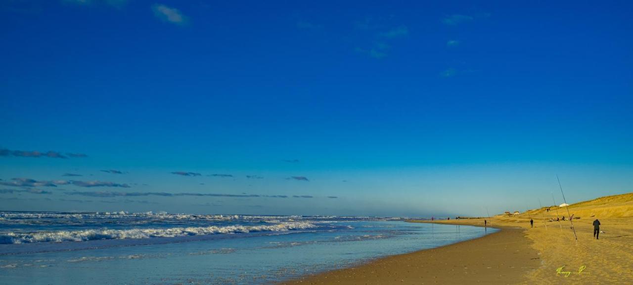 Vk Ocean — Mimizan — photo 4