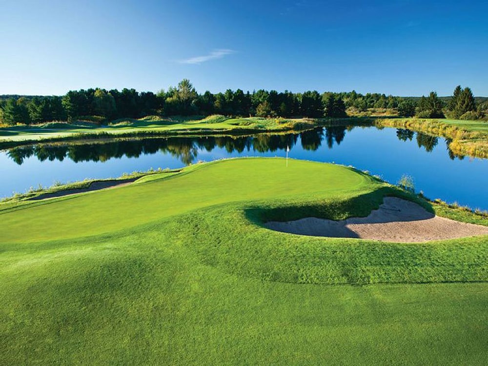 The Shores Resort - photo 95