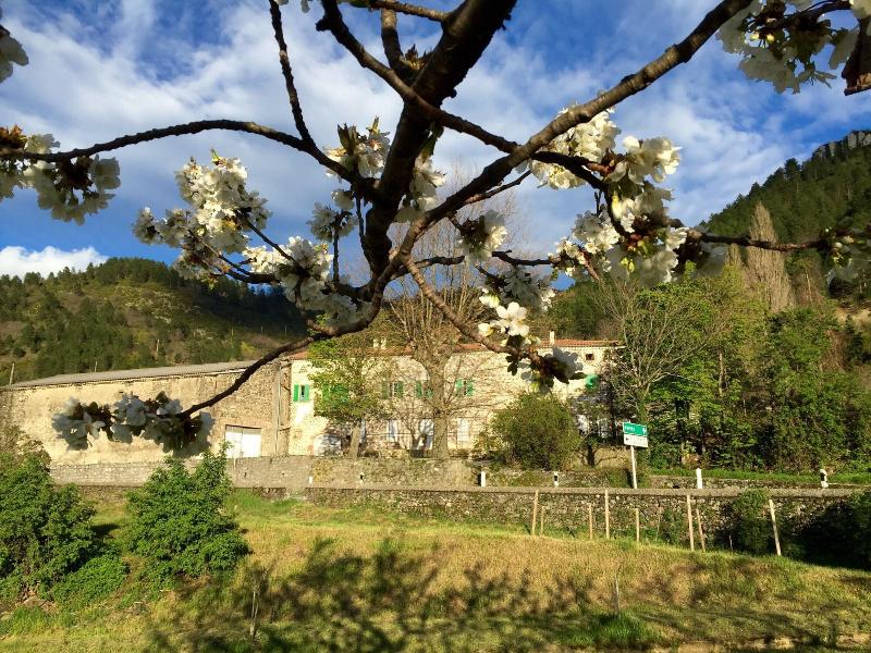 Moulin A — Saint Etienne