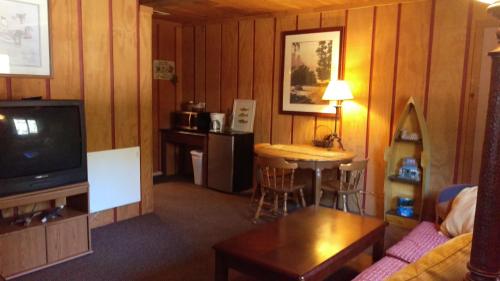 Alpine Motel - photo 26