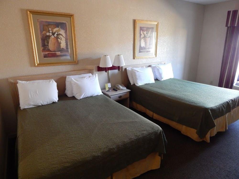 University Inn South Carolina - photo 4