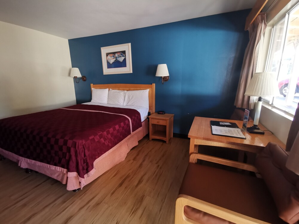Skylark Shores Resort - photo 9