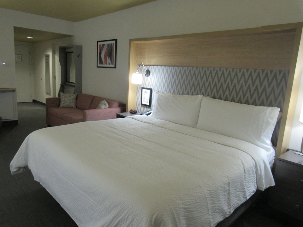 Holiday Inn Orlando International Dr ICON by IHG - photo 8