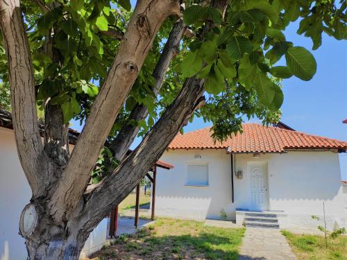 White Clam Vintage House with sea view & garden — 4-Star Luxury Hotel in Makrygialos, Greece