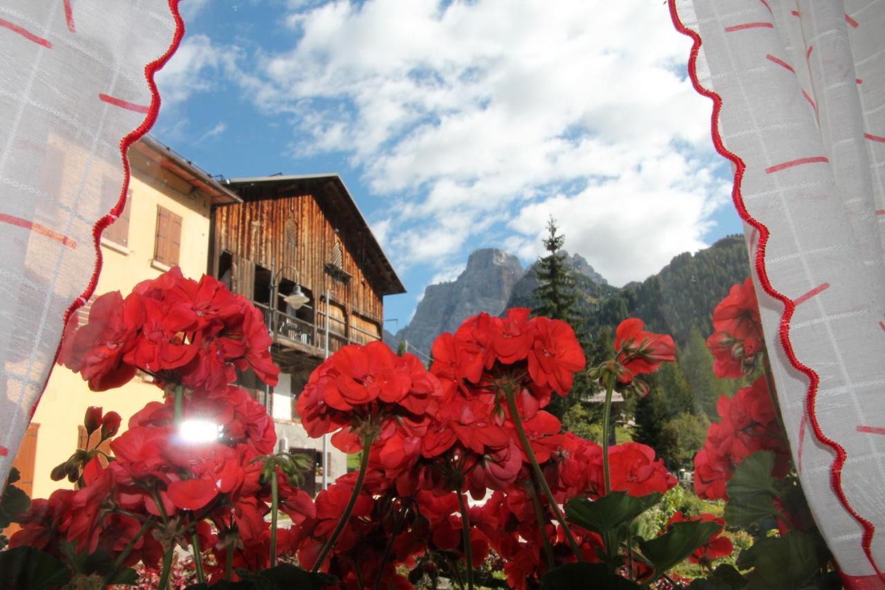 Dolomites Holidays 15262913 — Selva Di Cadore