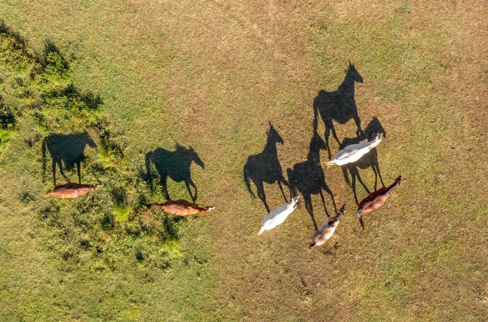 Seventy four Ranch - photo 21