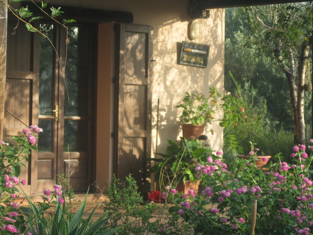 Sa Ingia in Cabras, Italy