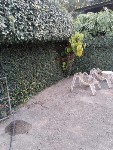 Sítio arapongas in Sao Roque, Brasil