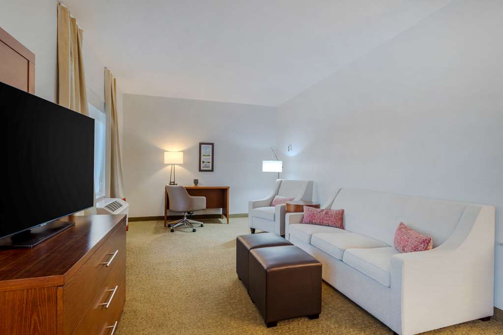 Comfort Suites La Porte Baytown - photo 12