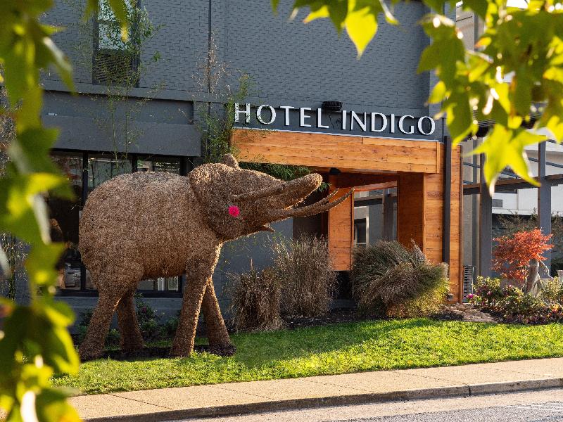 Hotel Indigo Chattanooga Downtown by IHG - featured photo