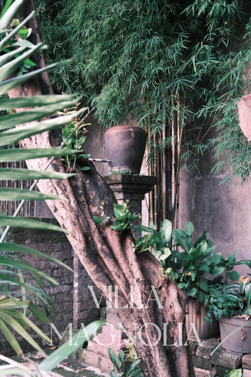 Villia magnolia sanur bali 巴厘島玉蘭別墅 pet-friendly hotel Denpasar