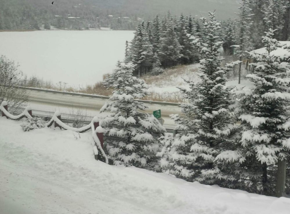 Beluga Lake Lodge - photo 5