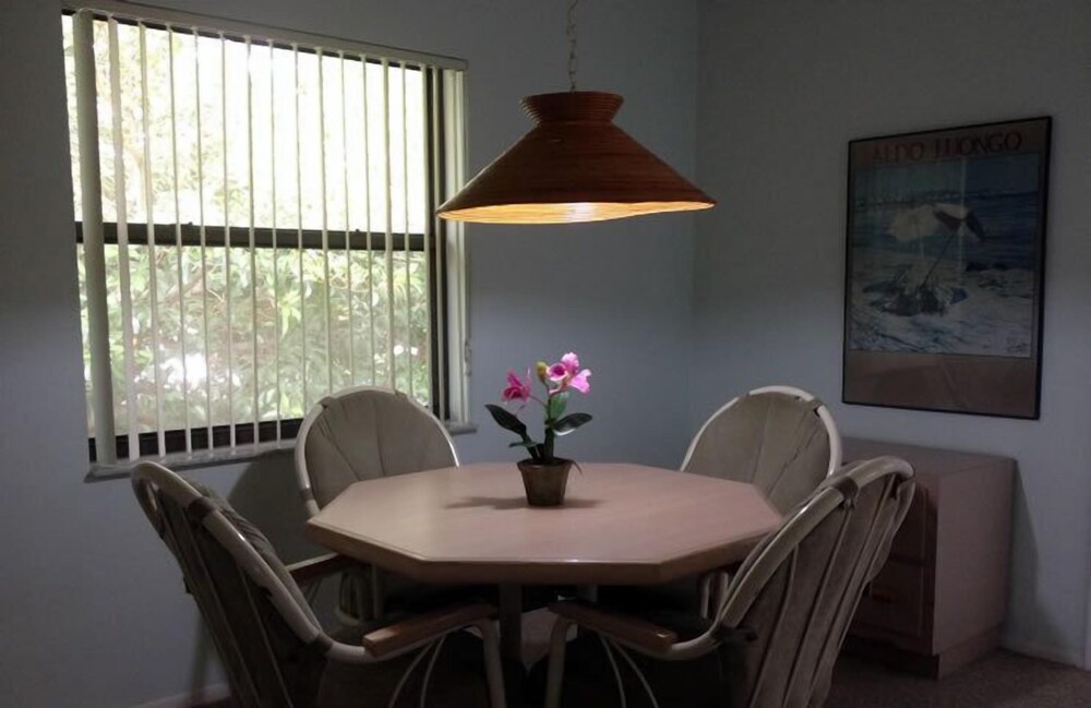 Palm Terrace - photo 16