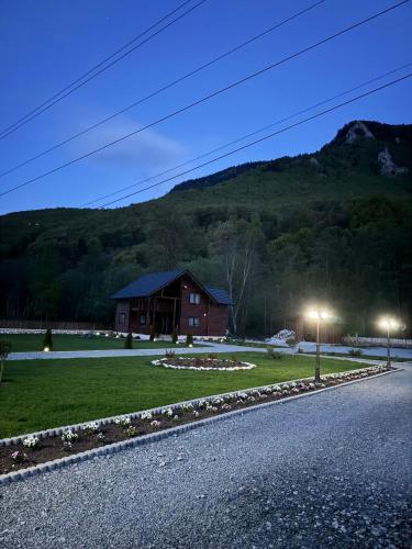 Mountain A Frame Resort com Avram Iancu — Budesti — photo 2