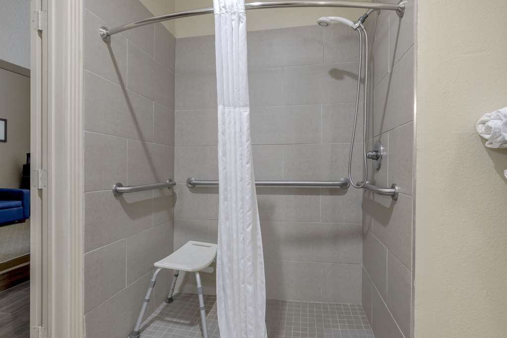 Comfort Suites Benbrook Fort Worth Southwest - photo 10