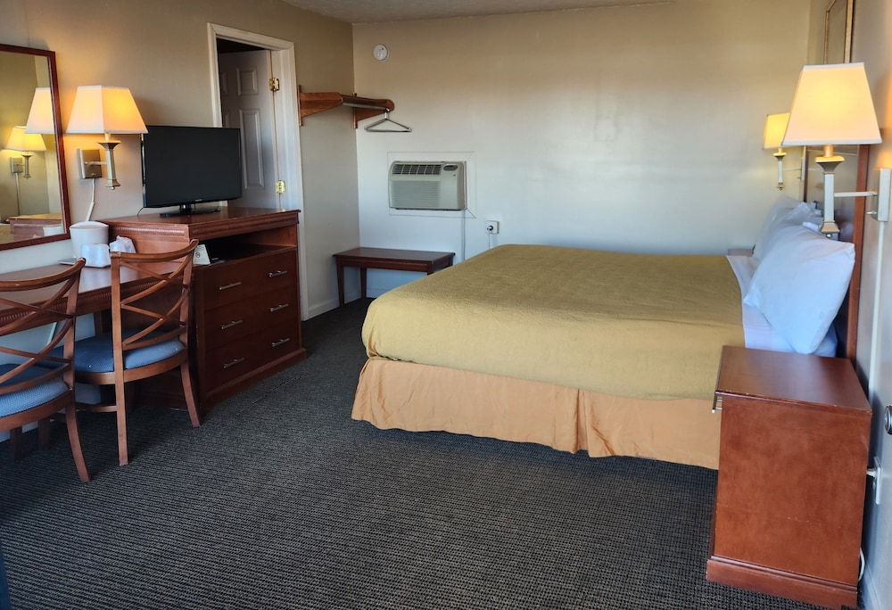 Royal Motel - photo 28