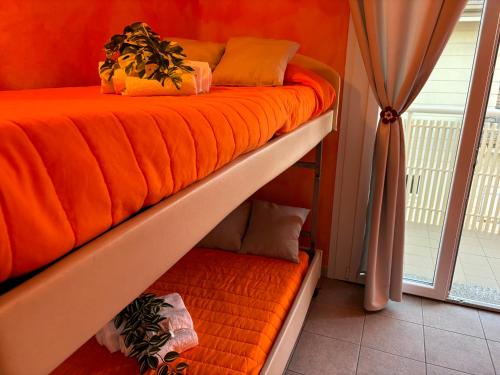 Hotel Summer Dream - last minute hotel in Cervia
