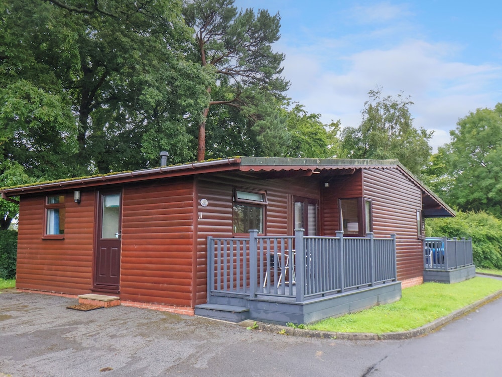 Ramson in Saltburn-By-The-Sea, United Kingdom